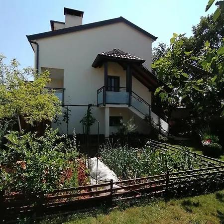 Kiko Porec